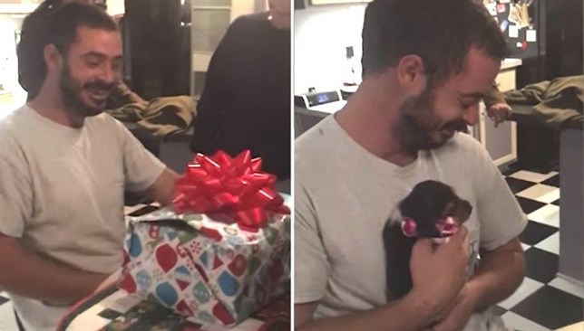 Un cachorro cambia la vida a un veterano de guerra (VIDEO)