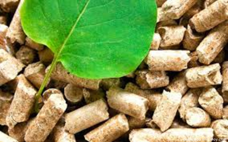 ICE capacita a cubanos sobre generación de energía biomásica