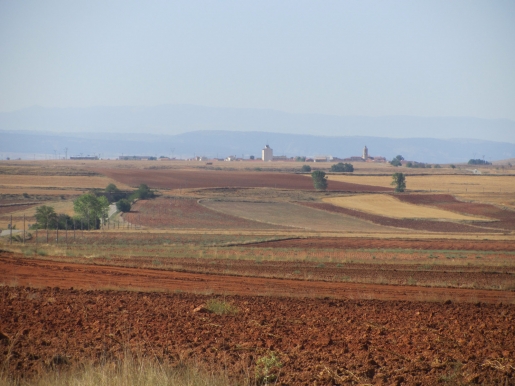 SEO/BirdLife se reúne con agricultores aragoneses para mejorar las medidas agroambientales