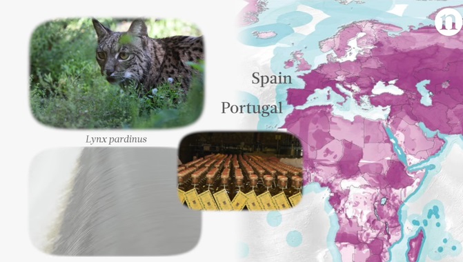 Conoce las rutas comerciales que ‘destruirán’ la biodiversidad