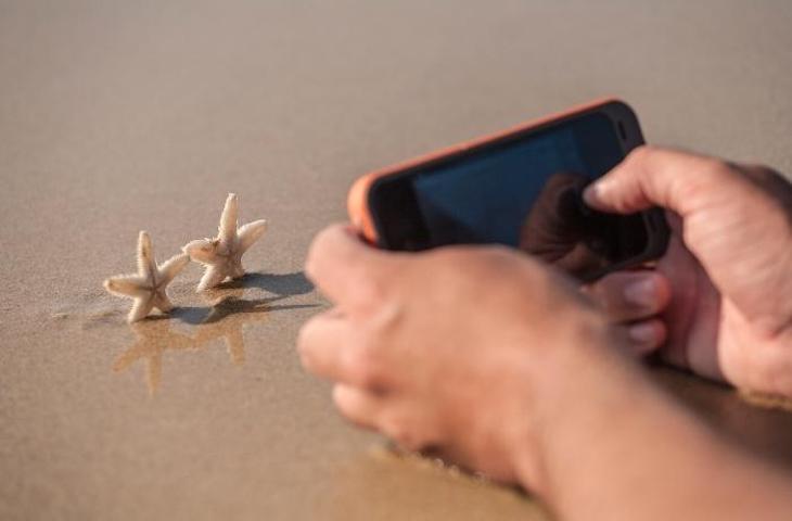 Colombia: las estrellas marinas NO se tocan