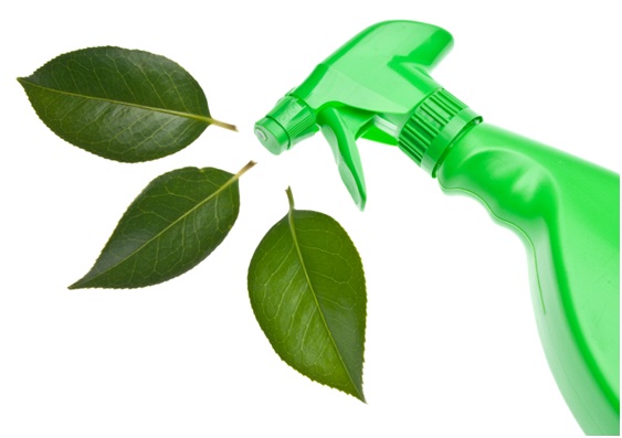 Productos de limpieza ecológicos