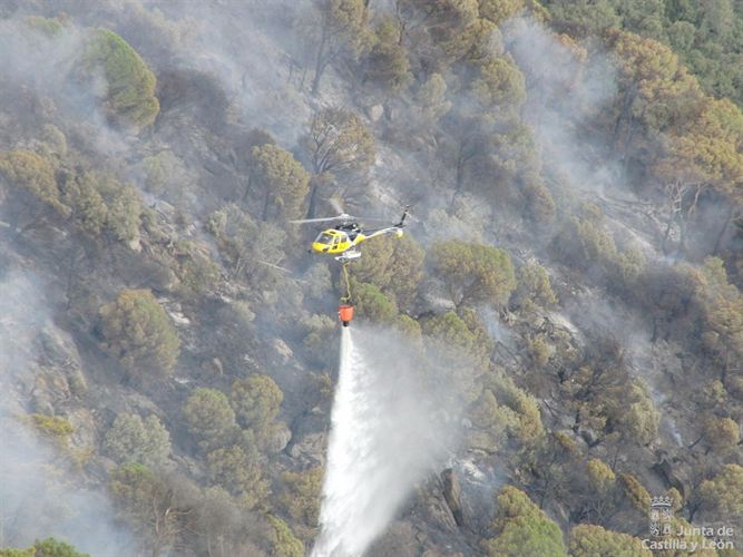 Controlado el fuego de Sotillo (Ávila)