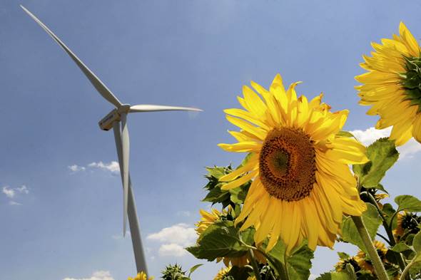 Si estás pensando en estudiar