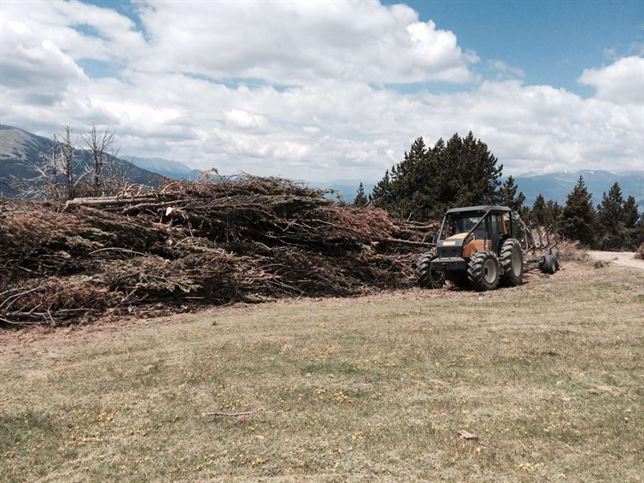 Extremadura. Las Hurdes aprovecharán energéticamente la madera