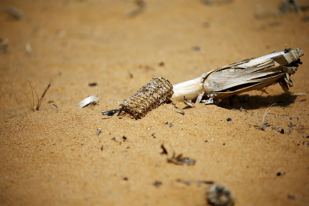 Relación entre el crecimiento económico y la reducción de agua