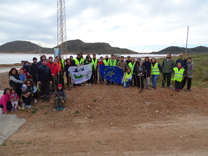 Voluntarios establecen más de 500 plantones de especies autóctonas en el acceso a Calblanque