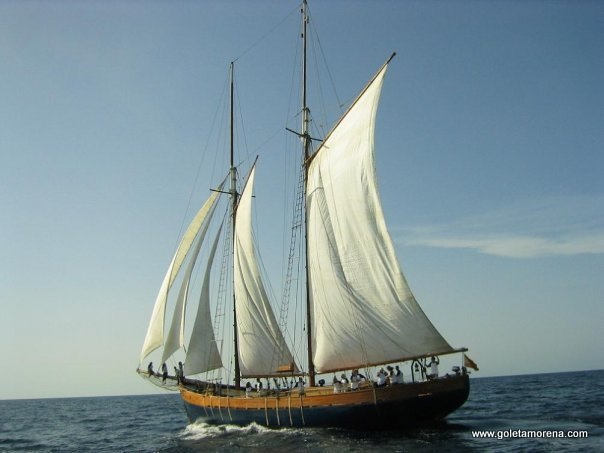 “Proyecto cetáceo libre”