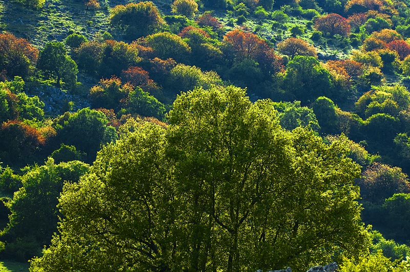 Semana Europea de Geoparques con más de 15 actividades en la Sierra Subbética (Andalucía)