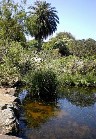 El Ejecutivo pone precio a la protección de la naturaleza: 200 millones de euros