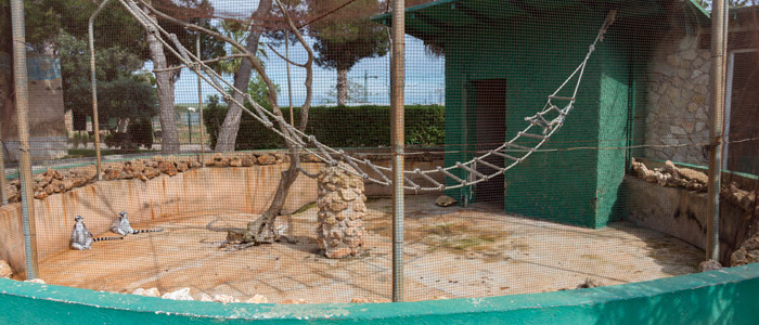 Los zoos en mallorca no superan el examen de calidad realizado por InfoZOOS