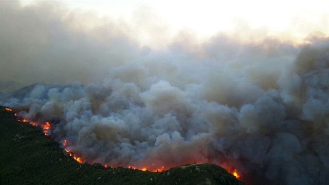 Gobierno de Aragón solicita la colaboración ciudadana para prevenir incendios forestales