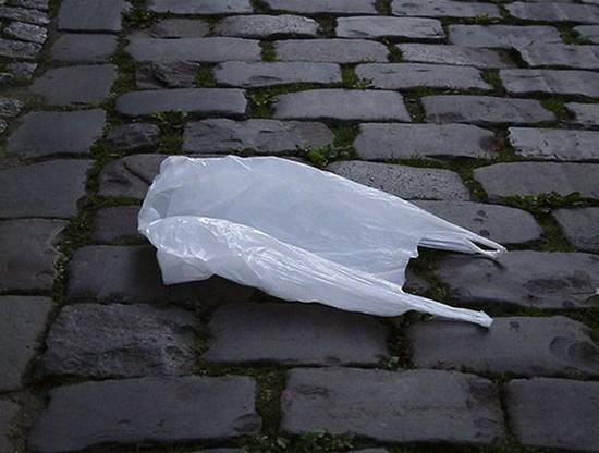 Día Internacional Sin Bolsas de Plástico