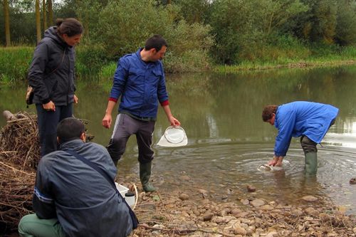 Junta aborda en un encuentro el trabajo de las redes de voluntarios ambientales en los espacios naturales