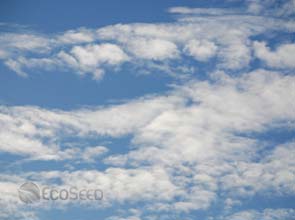 Norway could retire permits to meet carbon dioxide goals: O.EC.D.