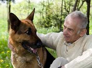 Good cooperation between animals and humans can save the environment