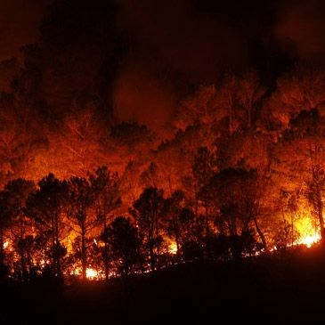 CiU reclama al Gobierno un decreto ley para paliar los daños ocasionados por el fuego en el Alt Empordà