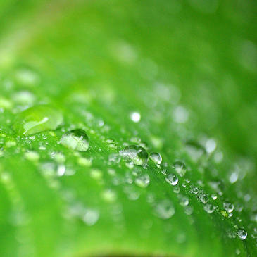 Las primeras lluvias tras el verano influyen en el cambio climático en el Mediterráneo