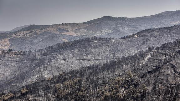 Los agentes sociales exigen participar en las decisiones para la recuperación de la Sierra de Lújar