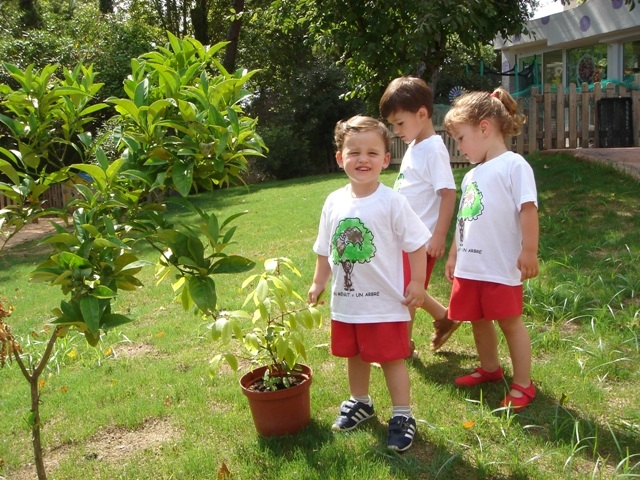 Recetas competitivas y verdes