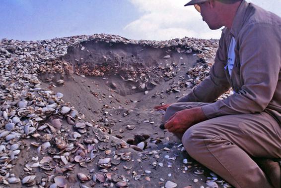 Los españoles provocaron la modificación del ecosistema litoral del noroeste de Perú