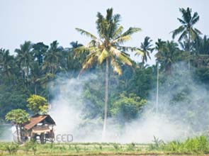 REDD project design method gets boost from auditors