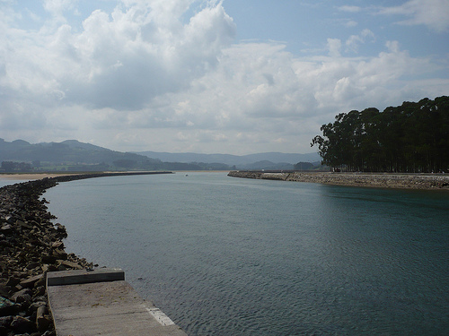 Carrefour organiza este fin de semana rutas guiadas en la Ría de Villaviciosa por el día mundial de los humedales