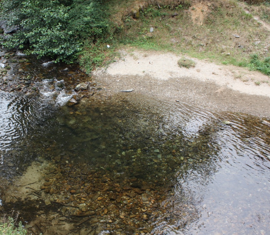 Buena nota para la conciencia ecológica de los gallegos