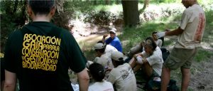 Día del Medio Ambiente y el voluntariado medioambiental
