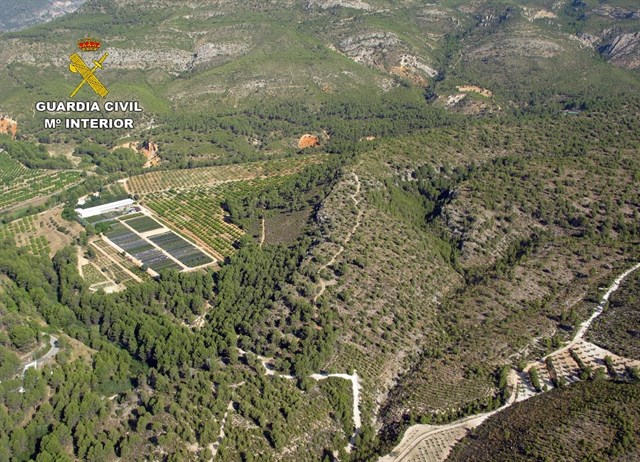 Guardia Civil descubre que el responsable de un coto en Moratalla envenenaba a animales para eliminar alimañas