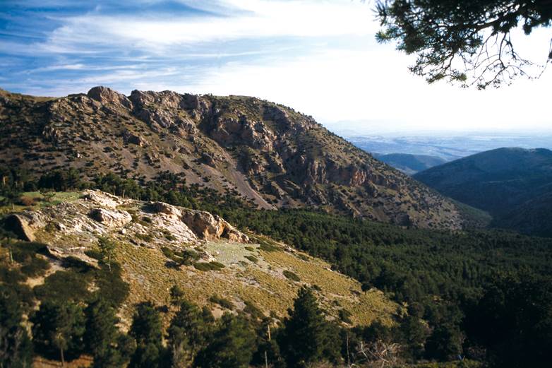 Iniciados los trámites del Plan de Desarrollo Sostenible del Parque de la Sierra de Baza