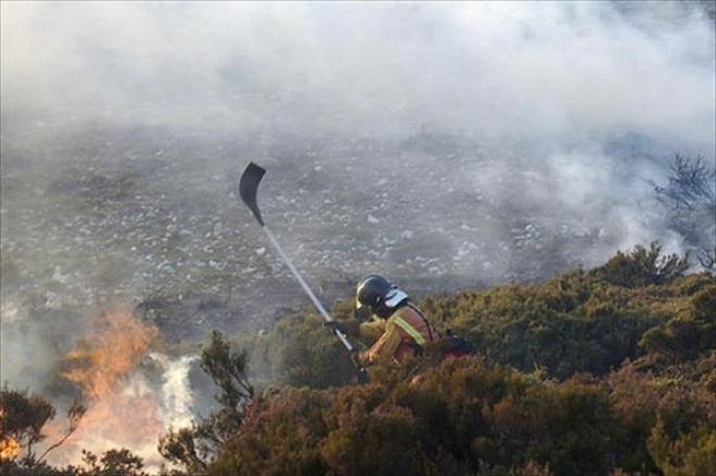 La Ley de Montes permite recalificar suelo quemado