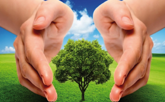 El mejor camino para encontrar un empleo verde: Doctorado en Sostenibilidad