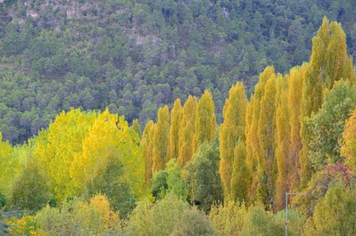 Extremadura convoca las ayudas para el desarrollo sostenible en áreas protegidas para 2014