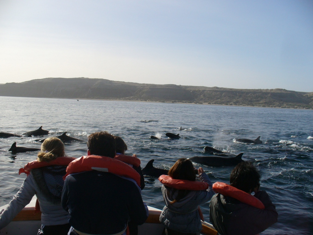 Nuestros océanos: Por un futuro verde