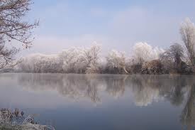 El Ayuntamiento de Zaragoza y la CHE iniciarán una experiencia piloto para la retirada de algas del lecho del río Ebro