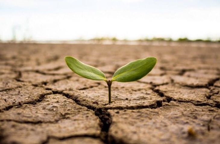 El reto de 1.5ºC debe seguir ‘vivo’