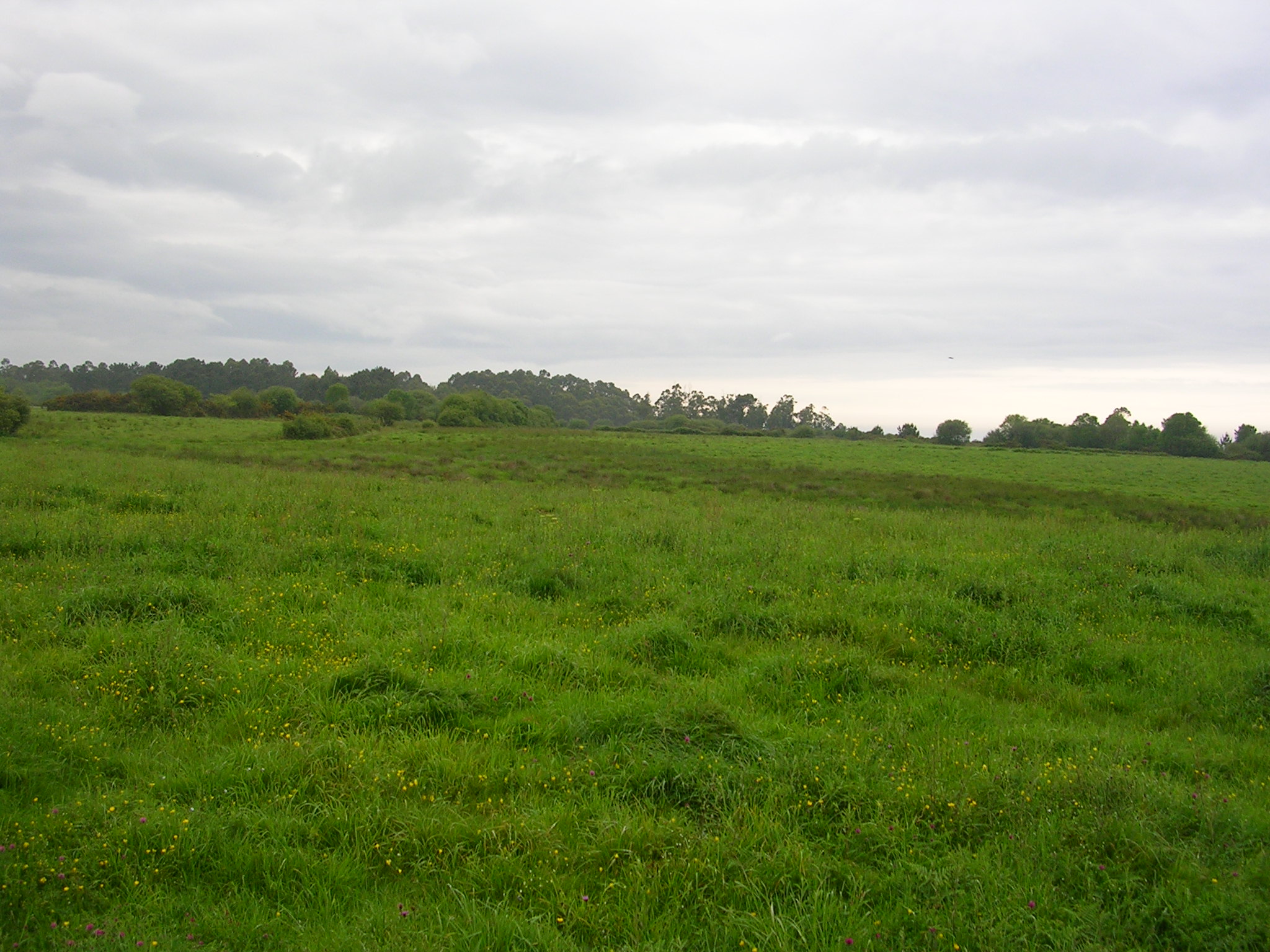Asturias. El Ayuntamiento de Cudillero sigue colaborando con la especulación urbanistica