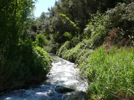 La calidad del agua de ríos y rieras catalanas en ‘declive’