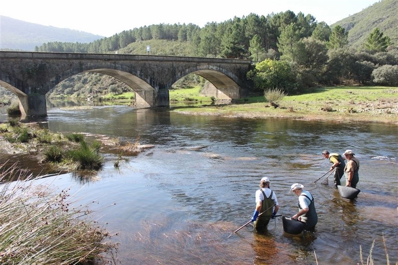 El coste de mantener la calidad del agua ha aumentado un 224% y el de depuración