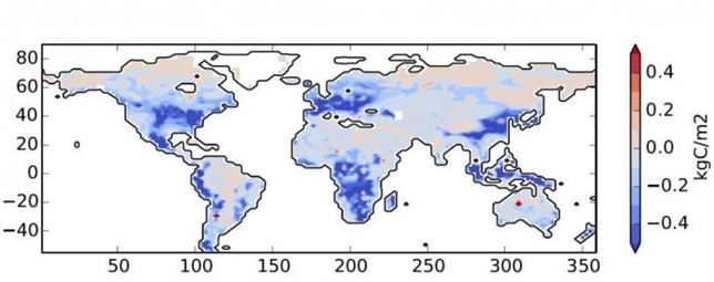 El crecimiento de las plantas puede liberar en masa CO2 atrapado en el suelo agravando el calentamiento global