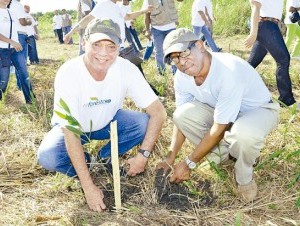 El Grupo SID realiza jornada de reforestación