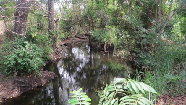 Por la seguridad alimentaria en América Central