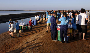 Anillamiento de flamencos en Marismas del Odiel