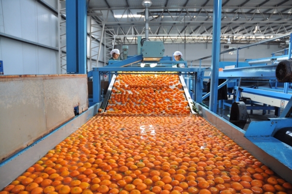 BID apoya mejoras en competitividad y exportaciones en zonas rurales de Argentina