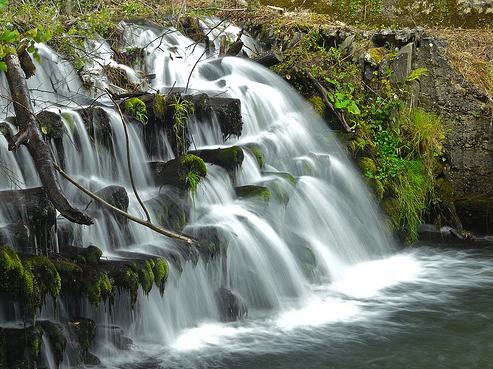 El Ayuntamiento de Busturia presenta el proyecto de regeneración de las riberas del río Mape