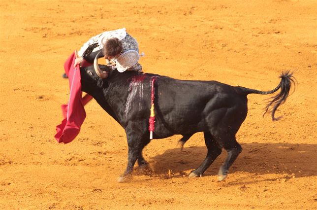 Piden la derogación de la Ley de 2013 que declara la Tauromaquia patrimonio cultural