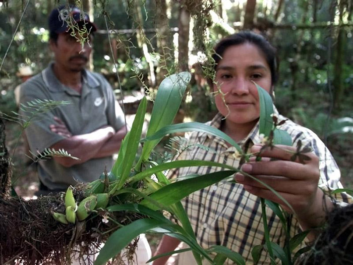 Entrañable relación de la mujer con la naturaleza