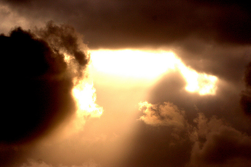 Pequeños organismos vivos sobreviven a la radiación solar