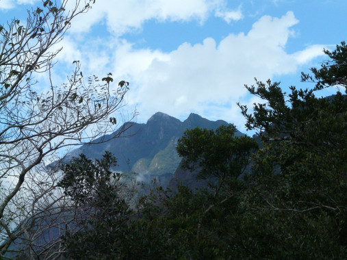 Qué pasa con los pagos por servicios de los ecosistemas